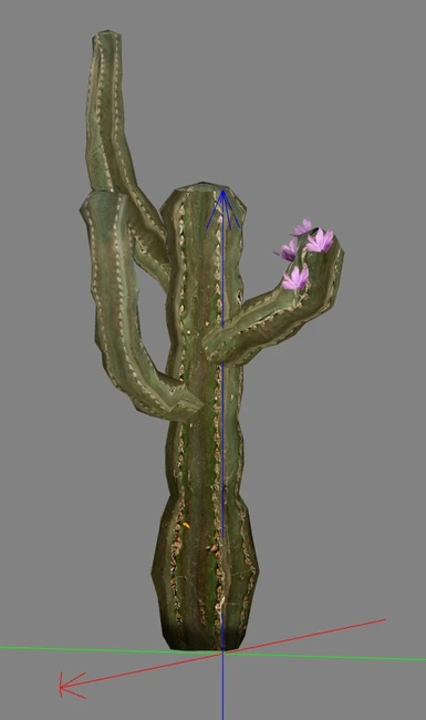 cactus04