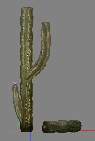 cactus05