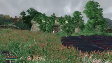 A Small Cottage