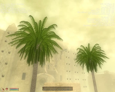 Elsweyr Palm Trees Reduced