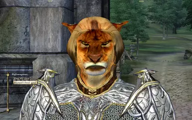 Ingame picture
