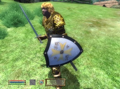 Templar sword_ shield