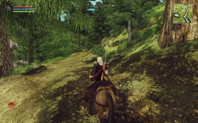 The Witcher in Oblivion