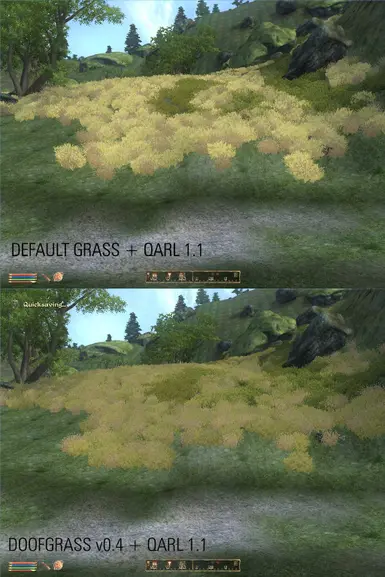 DoofGrass