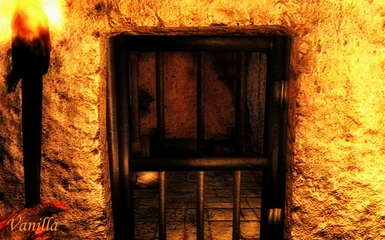 Vanilla 7 - Prison Cell Door 