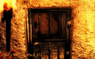 Qarl 7 - Prison Cell Door