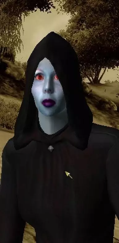 Beautiful Dark Elf06
