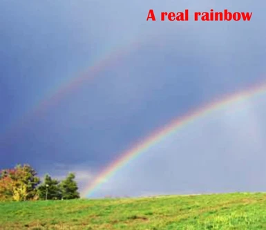Real Rainbow