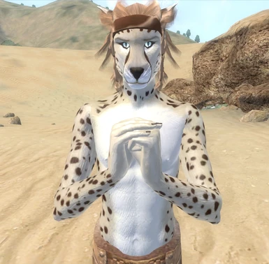 Ghostly Male with Khajiit skull