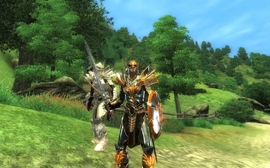 Drake Phoenix Armor