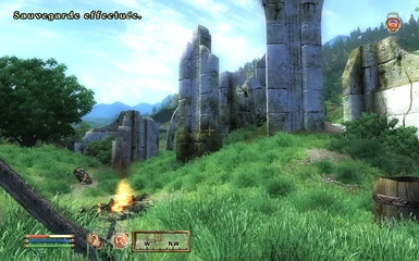 elder scrolls oblivion multiplayer mod