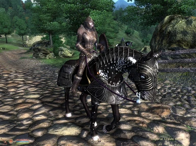 Using horse armor