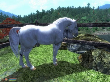 Slofs white horse model