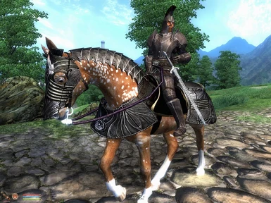 Black horse armor