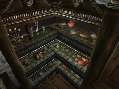 Mushroom Garden in the Alchemy