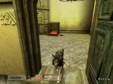 Pet