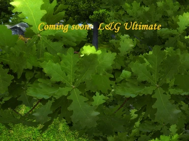 L nd G Ultimate Coming Soon