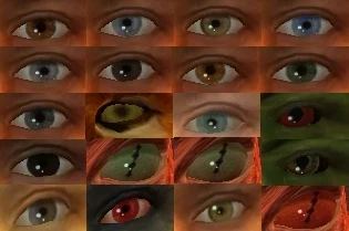 EyesOfTamriel