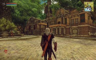The Witcher in Oblivion