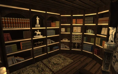 The Library with filled Bookshelves