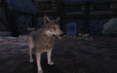 Lobo the tamed guardwolf