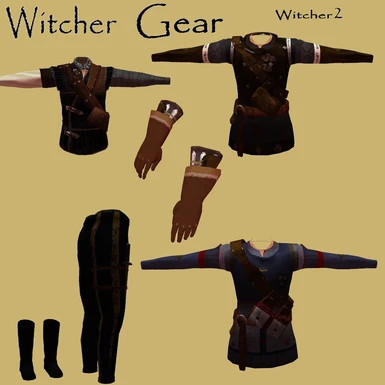Witcher Gear