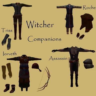 witcher 3 multi companion mod enhanced