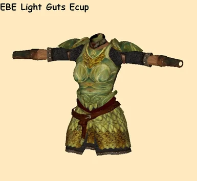 Light Guts Armor Replacer at Oblivion Nexus - mods and community