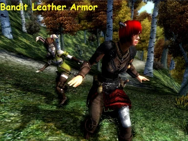 Bandit Leather Armor