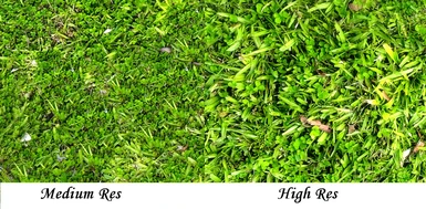 Tiling Grass Comparison