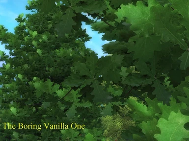 The Boring Vanilla One Oak