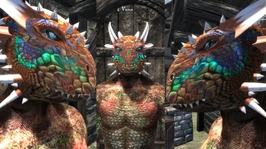 New Argonian Male Texture