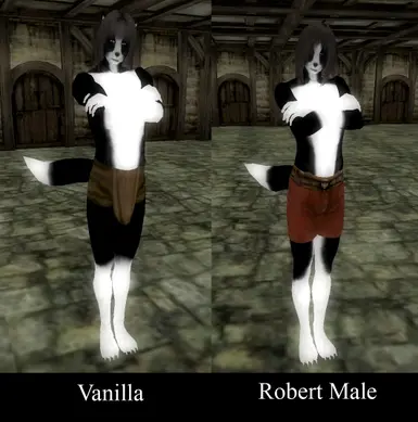 Male Body Gallery