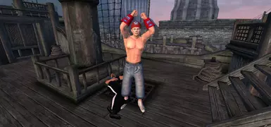 Cena WINS