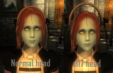 normal scale head and x117 scale head