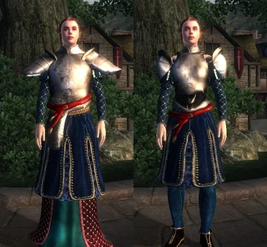 Elven Guard Robes Before - After