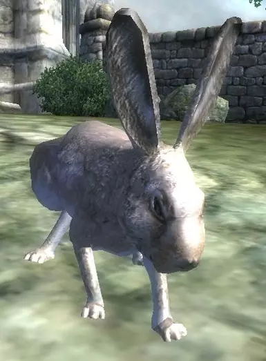 Easter Bunny
