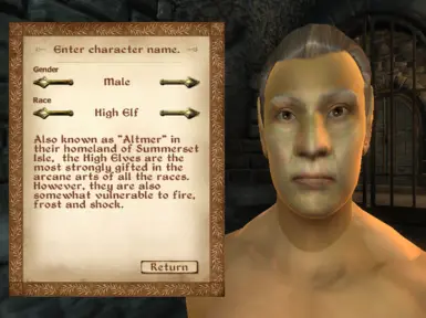 High Elf