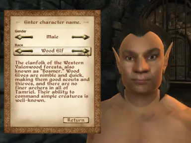 Wood Elf