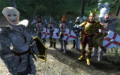 The Knights Templar Helping the Knights of the Nine