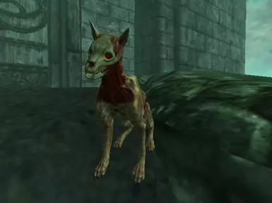 What a good boy