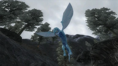Young Frost Dragon