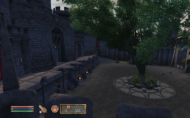 oblivion battlehorn castle download free