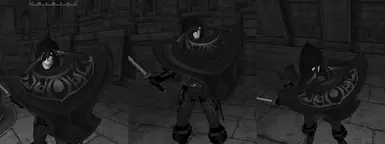 The Shield without reflection
