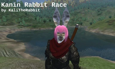 Kanin Rabbit Race