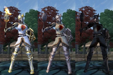 Crusader Armor Chainmail Versions