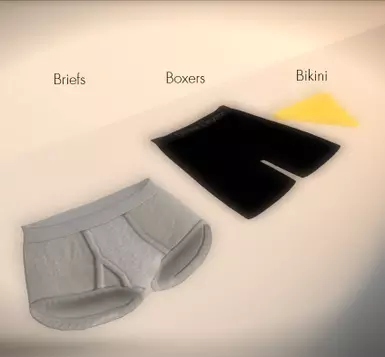 Briefs Boxers Bikini