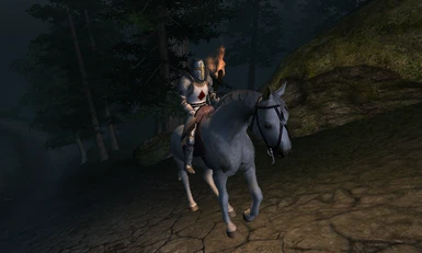 The Lone Rider Going to Skingrad