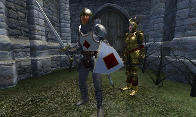 The New Sword and Shield In this Mod