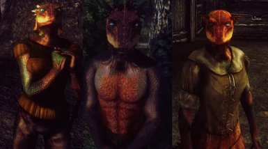 oblivion character overhaul not working tes mod manager